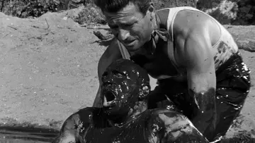 Backdrop to the movie "The Wages of Fear" #751024