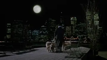 Backdrop to the movie "Moonstruck" #714811