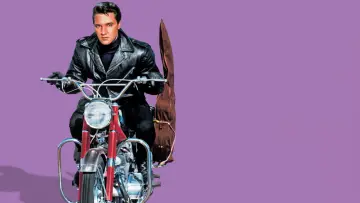 Backdrop to the movie "Roustabout" #1132674