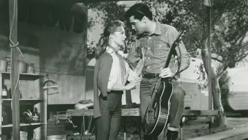 Backdrop to the movie "Roustabout" #498979