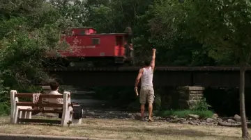 Backdrop to the movie "The Station Agent" #898897