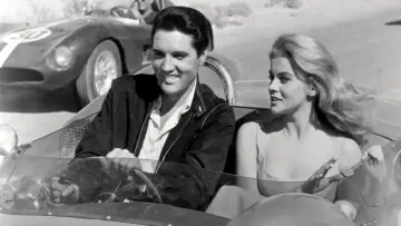 Backdrop to the movie "Viva Las Vegas" #433909