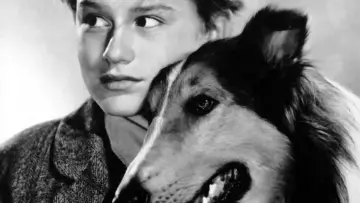 Backdrop to the movie "Lassie Come Home" #1097305