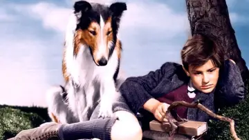 Backdrop to the movie "Lassie Come Home" #1097307