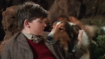 Backdrop to the movie "Lassie Come Home" #457031