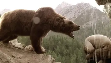 Backdrop to the movie "The Bear" #246287