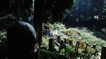 Backdrop to the movie "Lady Snowblood" #890288