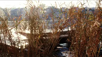 Backdrop to the movie "Lady Snowblood" #890302