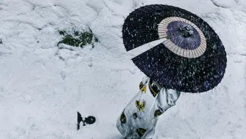 Backdrop to the movie "Lady Snowblood" #986064