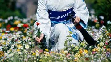 Backdrop to the movie "Lady Snowblood" #986069