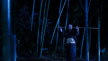 Backdrop to the movie "Lady Snowblood" #986070