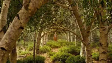 Backdrop to the movie "The Chronicles of Narnia: Prince Caspian" #839694