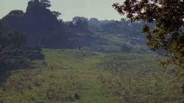 Backdrop to the movie "The Princess Bride" #962003