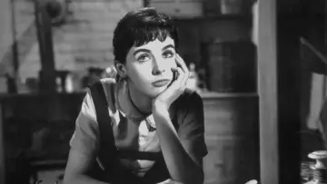Backdrop to the movie "The Diary of Anne Frank" #990139