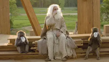 Backdrop to the movie "Evan Almighty" #318611