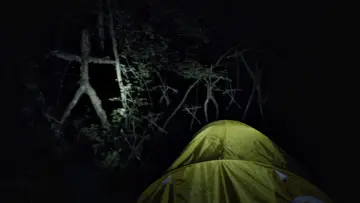 Backdrop to the movie "The Blair Witch Project" #372456