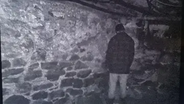 Backdrop to the movie "The Blair Witch Project" #841680