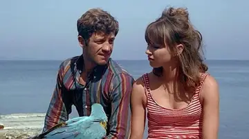Backdrop to the movie "Pierrot le Fou" #861646