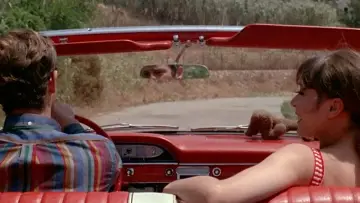 Backdrop to the movie "Pierrot le Fou" #861703