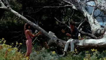 Backdrop to the movie "Pierrot le Fou" #861715