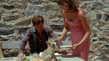 Backdrop to the movie "Pierrot le Fou" #861720