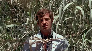 Backdrop to the movie "Pierrot le Fou" #861763