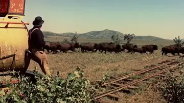 Backdrop to the movie "Around the World in Eighty Days" #1199676