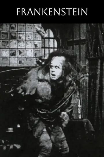 Poster to the movie "Frankenstein" #963593