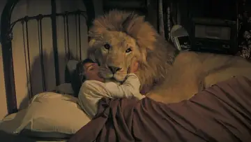 Backdrop to the movie "Roar" #939604