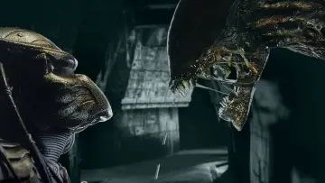 Backdrop to the movie "AVP: Alien vs. Predator" #324971
