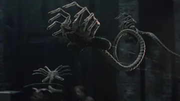 Backdrop to the movie "AVP: Alien vs. Predator" #650965