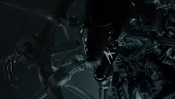 Backdrop to the movie "AVP: Alien vs. Predator" #650989