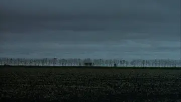 Backdrop to the movie "Capote" #992704