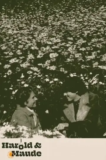Poster to the movie "Harold and Maude" #206214