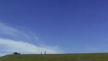 Backdrop to the movie "Harold and Maude" #985898