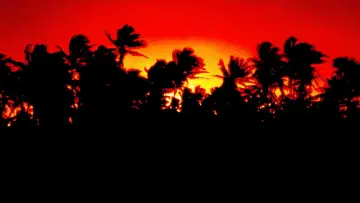 Backdrop to the movie "Jurassic Park" #598001