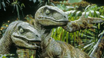 Backdrop to the movie "Jurassic Park" #598057
