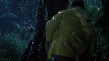 Backdrop to the movie "Jurassic Park" #598117