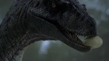 Backdrop to the movie "Jurassic Park III" #634529