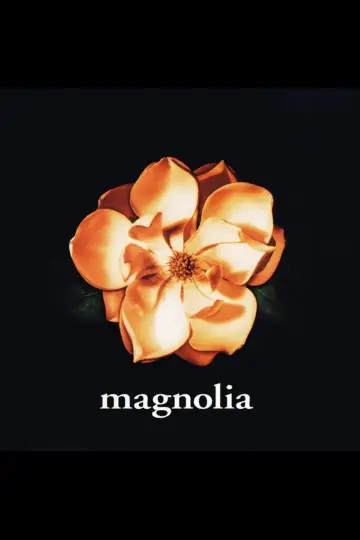 Poster to the movie "Magnolia" #840922