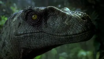 Backdrop to the movie "The Lost World: Jurassic Park" #281863