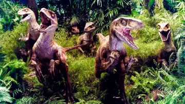 Backdrop to the movie "The Lost World: Jurassic Park" #281878
