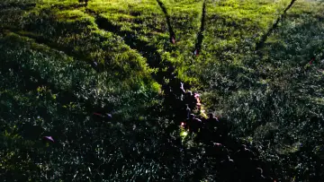Backdrop to the movie "The Lost World: Jurassic Park" #998251