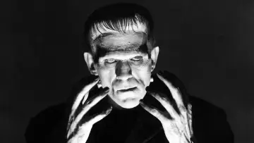 Backdrop to the movie "Frankenstein" #212439