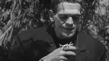 Backdrop to the movie "Frankenstein" #641060