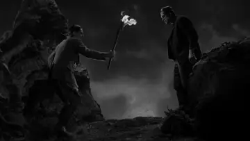 Backdrop to the movie "Frankenstein" #854532