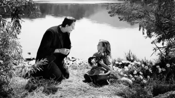 Backdrop to the movie "Frankenstein" #854537