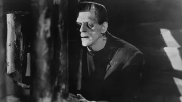 Backdrop to the movie "Frankenstein" #854538