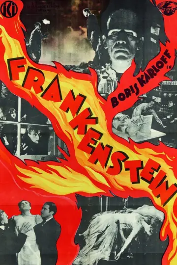 Poster to the movie "Frankenstein" #854540