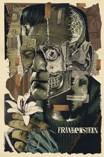 Poster to the movie "Frankenstein" #854542